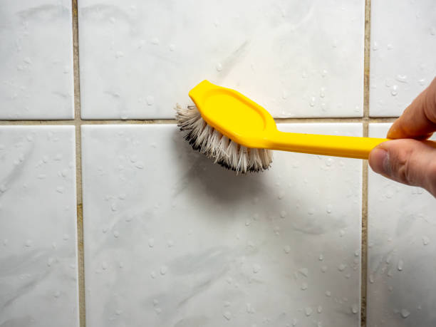 Best Black Mold Remediation in Weston, WI